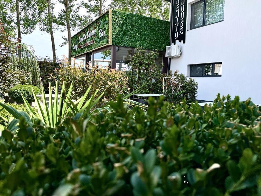 Renato House Hotel Targu Jiu Exterior photo